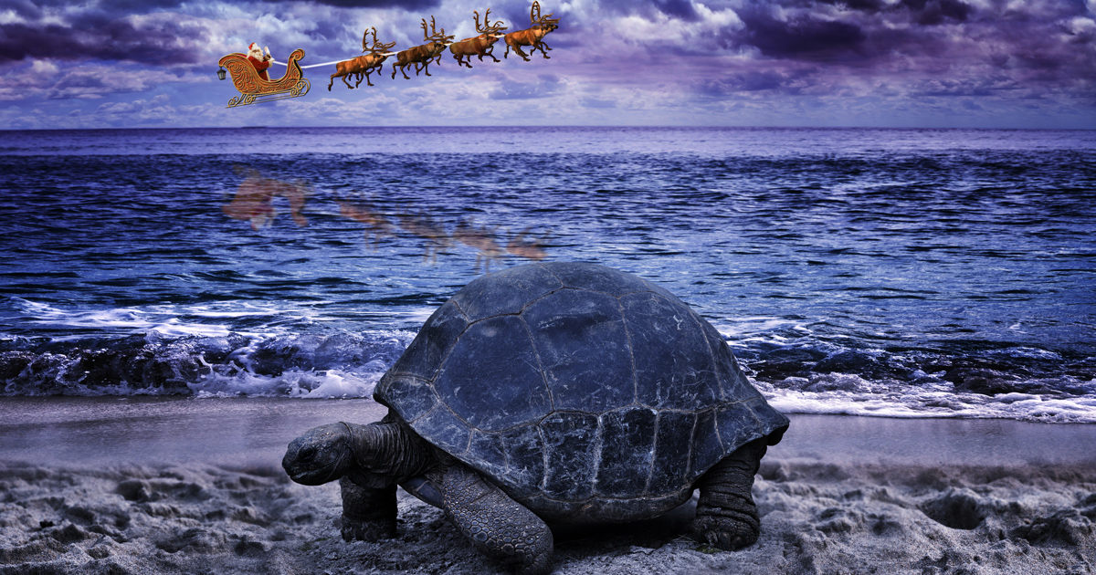 Galápagos Islands at Christmas Santa Claus Pictured While Flying